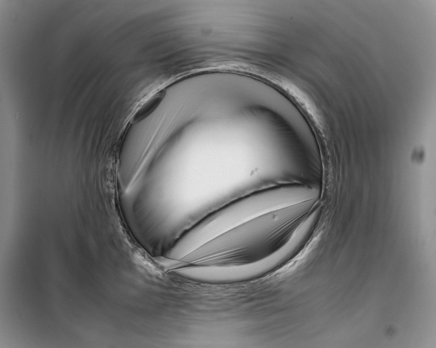 X0000099461001200806061124