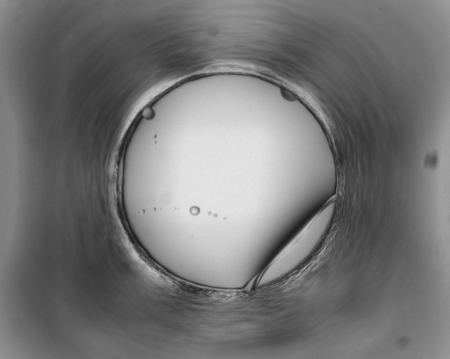 X0000099461003200806061124