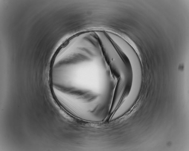 X0000099461005200806061124