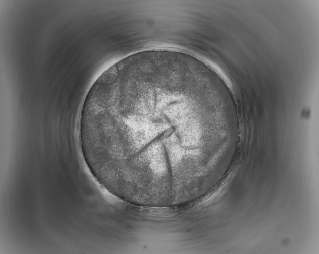 X0000099461007200806061124