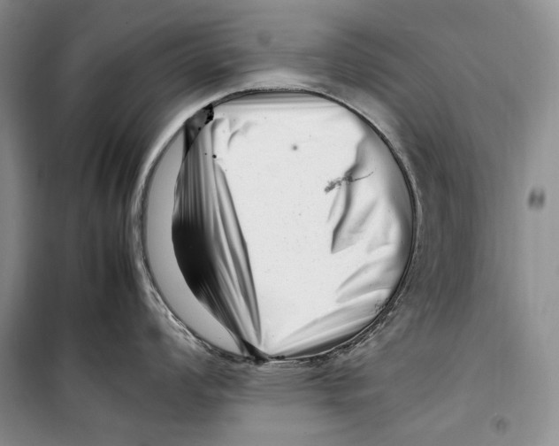 X0000099461008200806061124