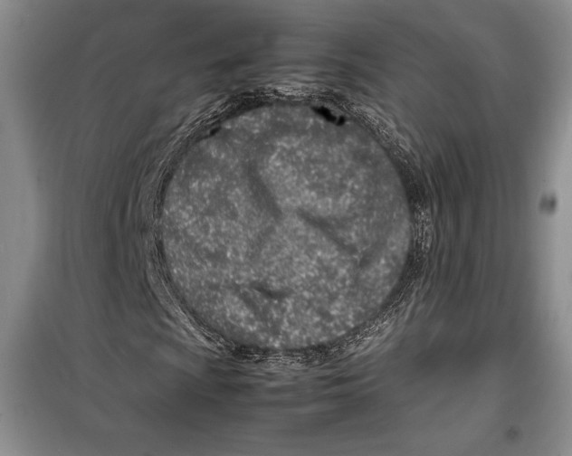 X0000099461009200806061124