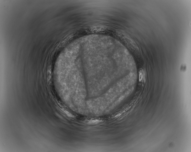 X0000099461011200806061124