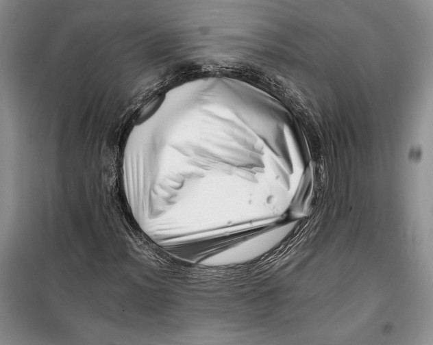 X0000099461012200806061124