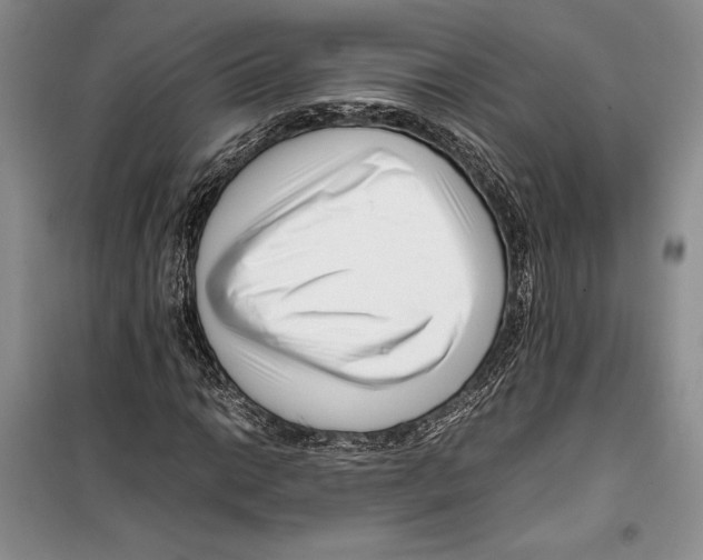 X0000099461014200806061124