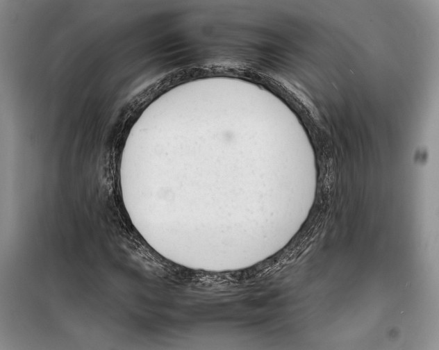 X0000099461015200806061124