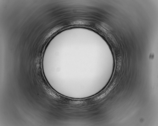 X0000099461017200806061124