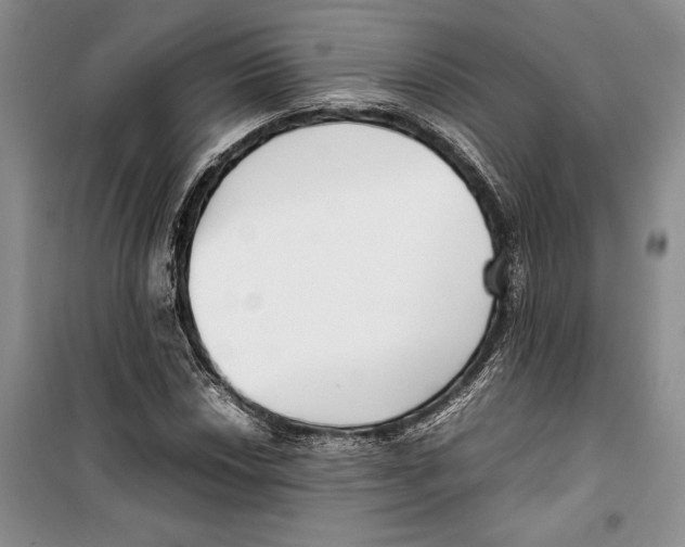 X0000099461018200806061124