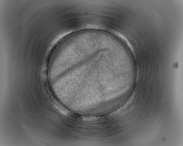 X0000099461019200806061124