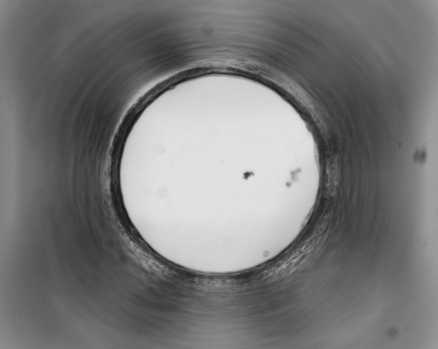 X0000099461020200806061124