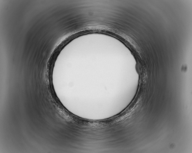 X0000099461022200806061124