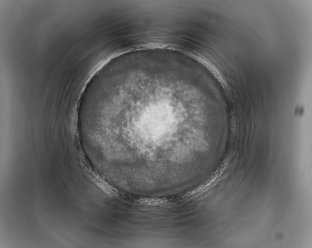 X0000099461023200806061124