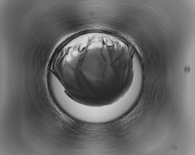 X0000099461024200806061124