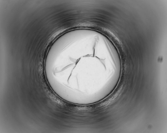 X0000099461025200806061124