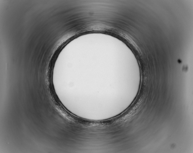 X0000099461026200806061124