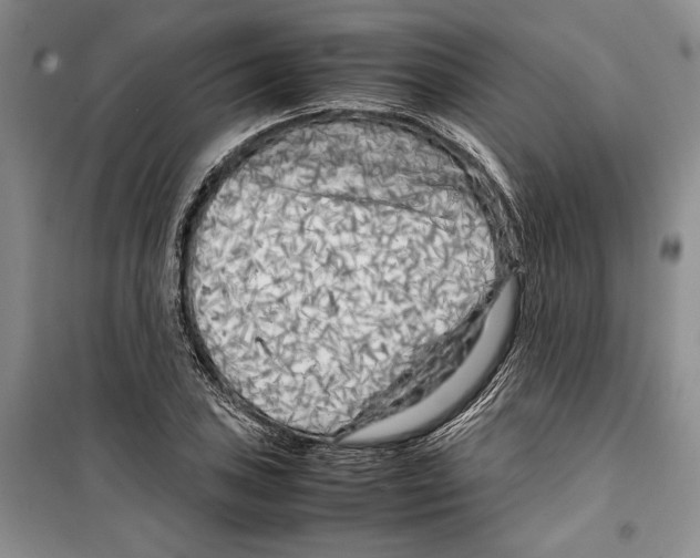 X0000099461027200806061124