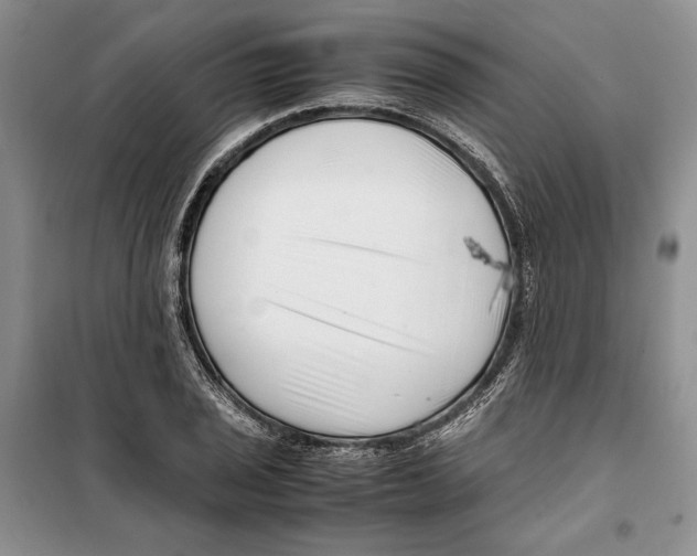 X0000099461029200806061124