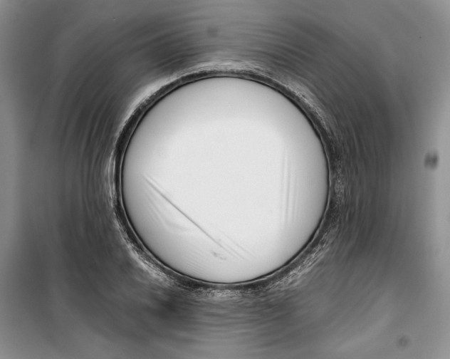 X0000099461030200806061124