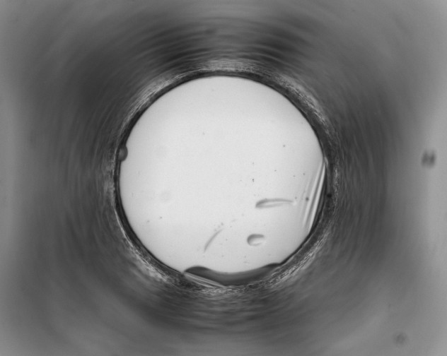 X0000099461033200806061124