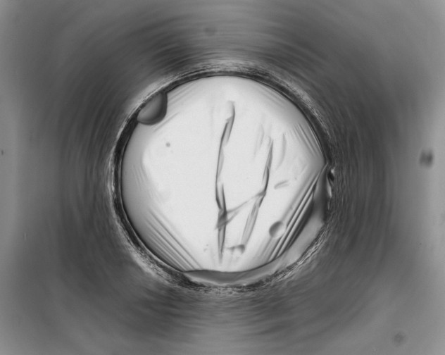 X0000099461034200806061124