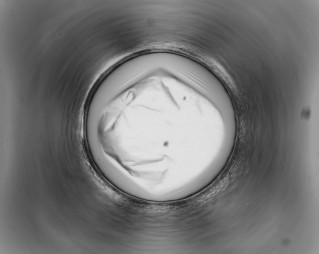 X0000099461036200806061124