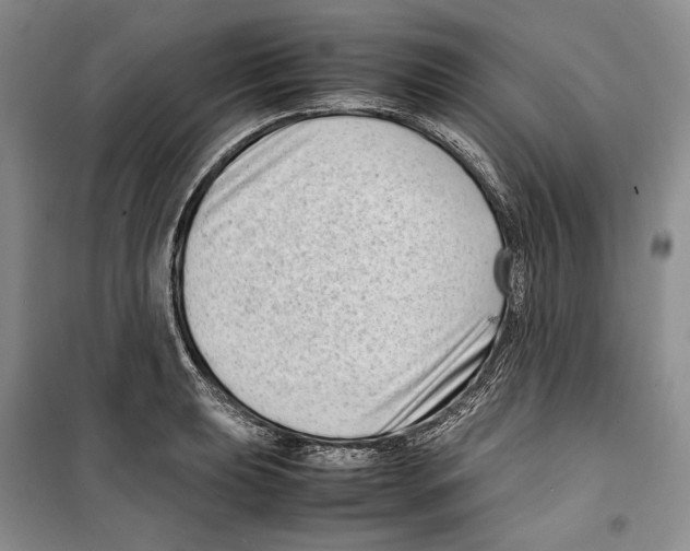 X0000099461039200806061124