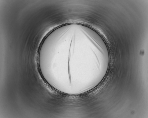 X0000099461040200806061124