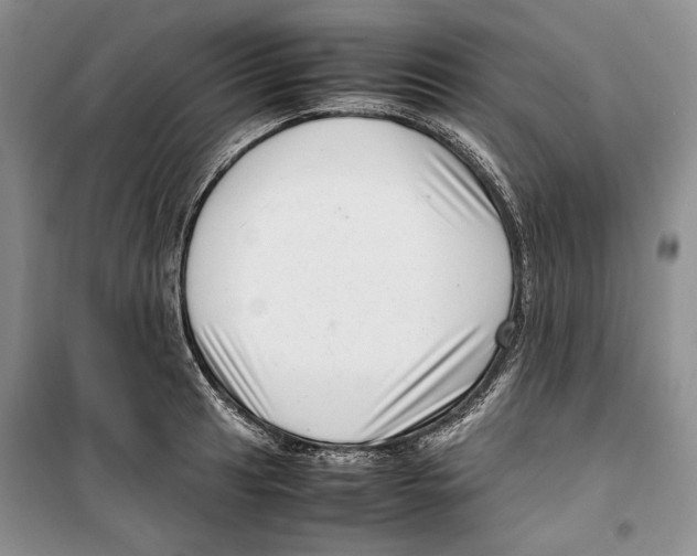 X0000099461041200806061124