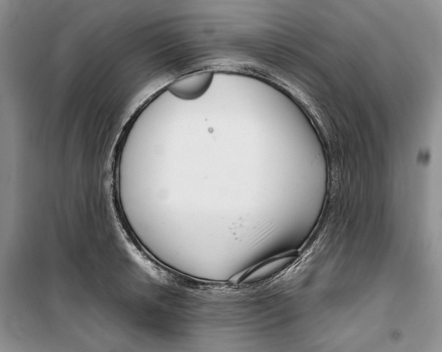 X0000099461042200806061124