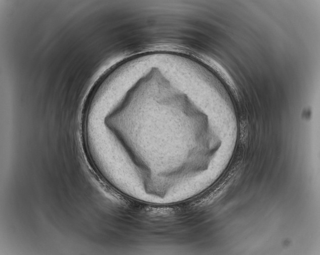 X0000099461043200806061124