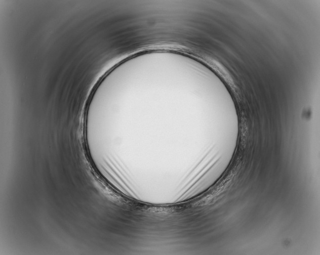 X0000099461044200806061124