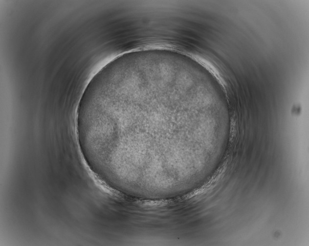 X0000099461047200806061124