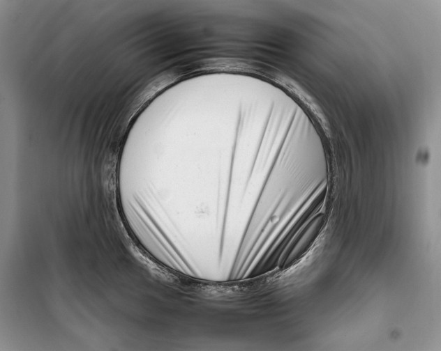 X0000099461049200806061124