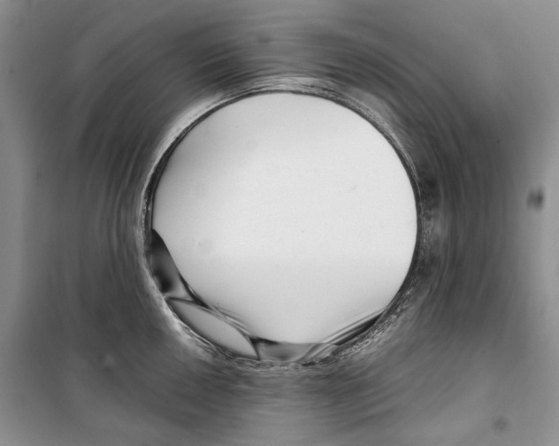 X0000099461050200806061124