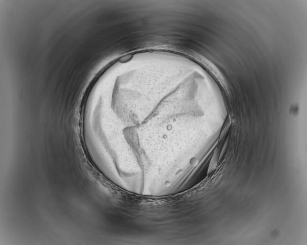 X0000099461051200806061124