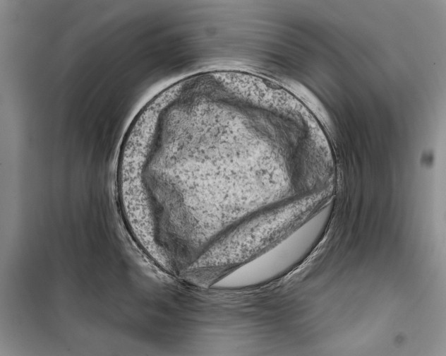 X0000099461052200806061124