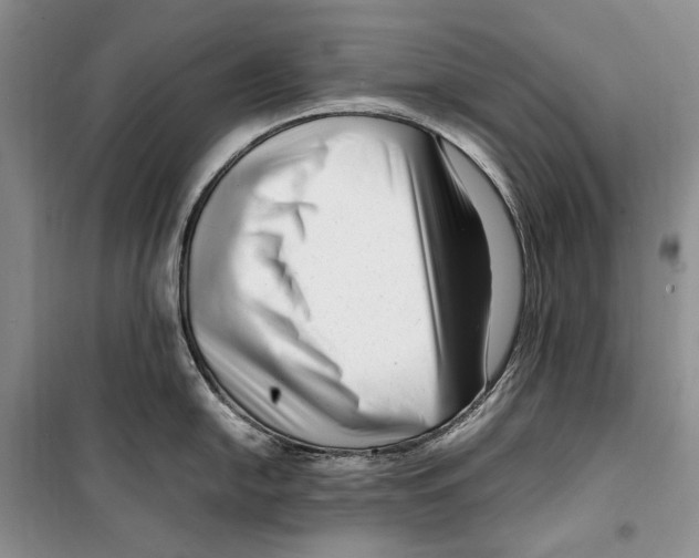 X0000099461054200806061124