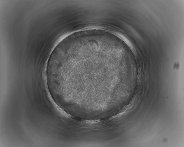 X0000099461055200806061124