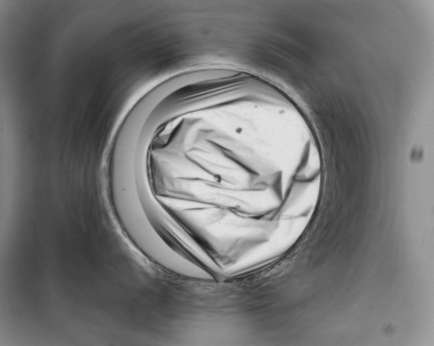 X0000099461056200806061124