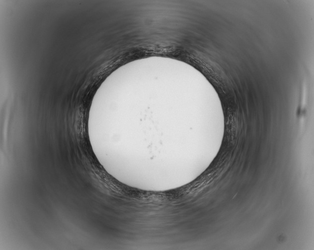 X0000099461058200806061124