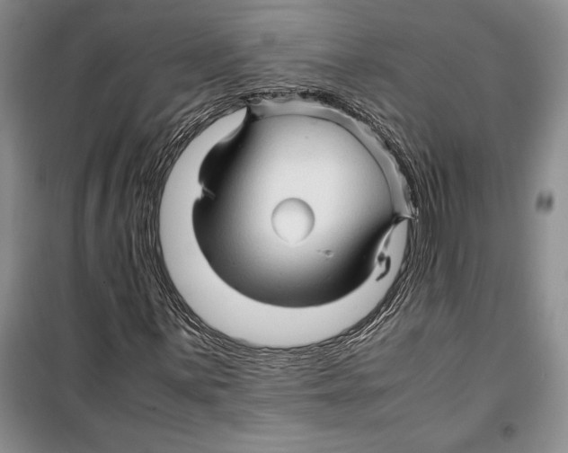 X0000099461059200806061124