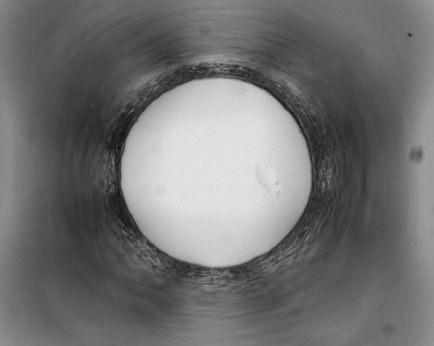 X0000099461062200806061124