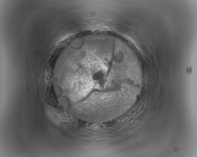 X0000099461063200806061124