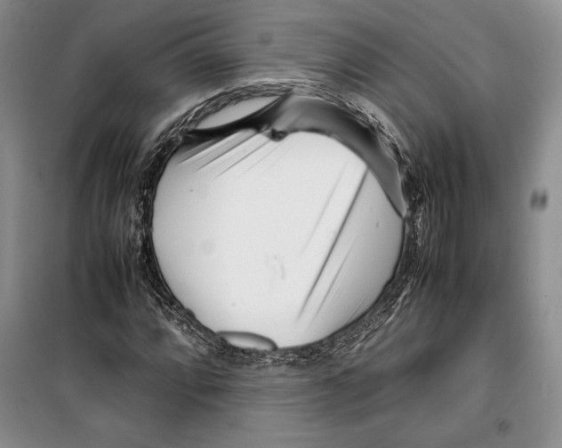 X0000099461064200806061124