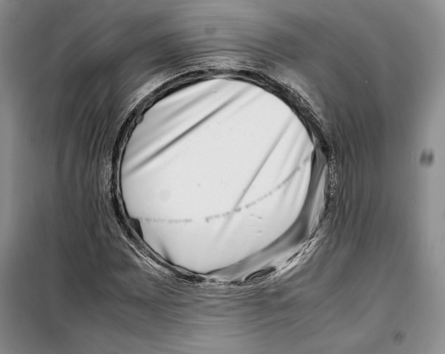 X0000099461065200806061124