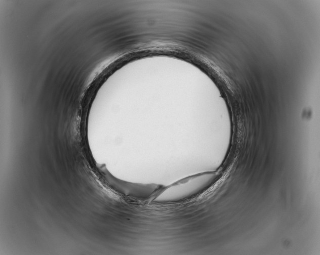 X0000099461066200806061124