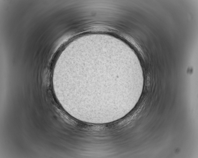 X0000099461067200806061124