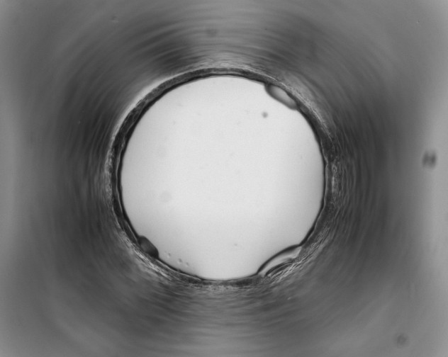 X0000099461068200806061123