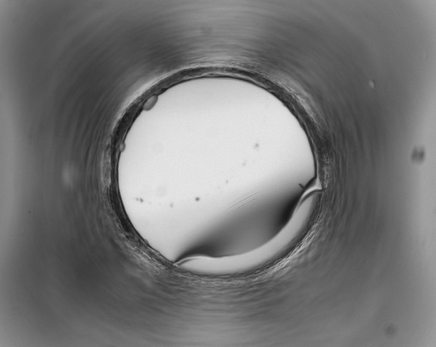 X0000099461069200806061123