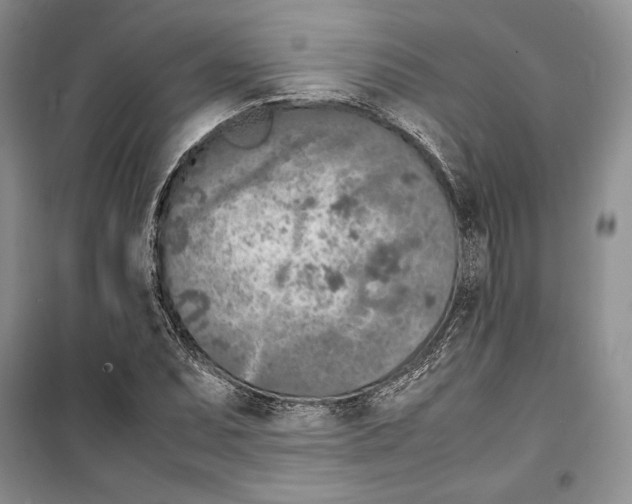 X0000099461071200806061123